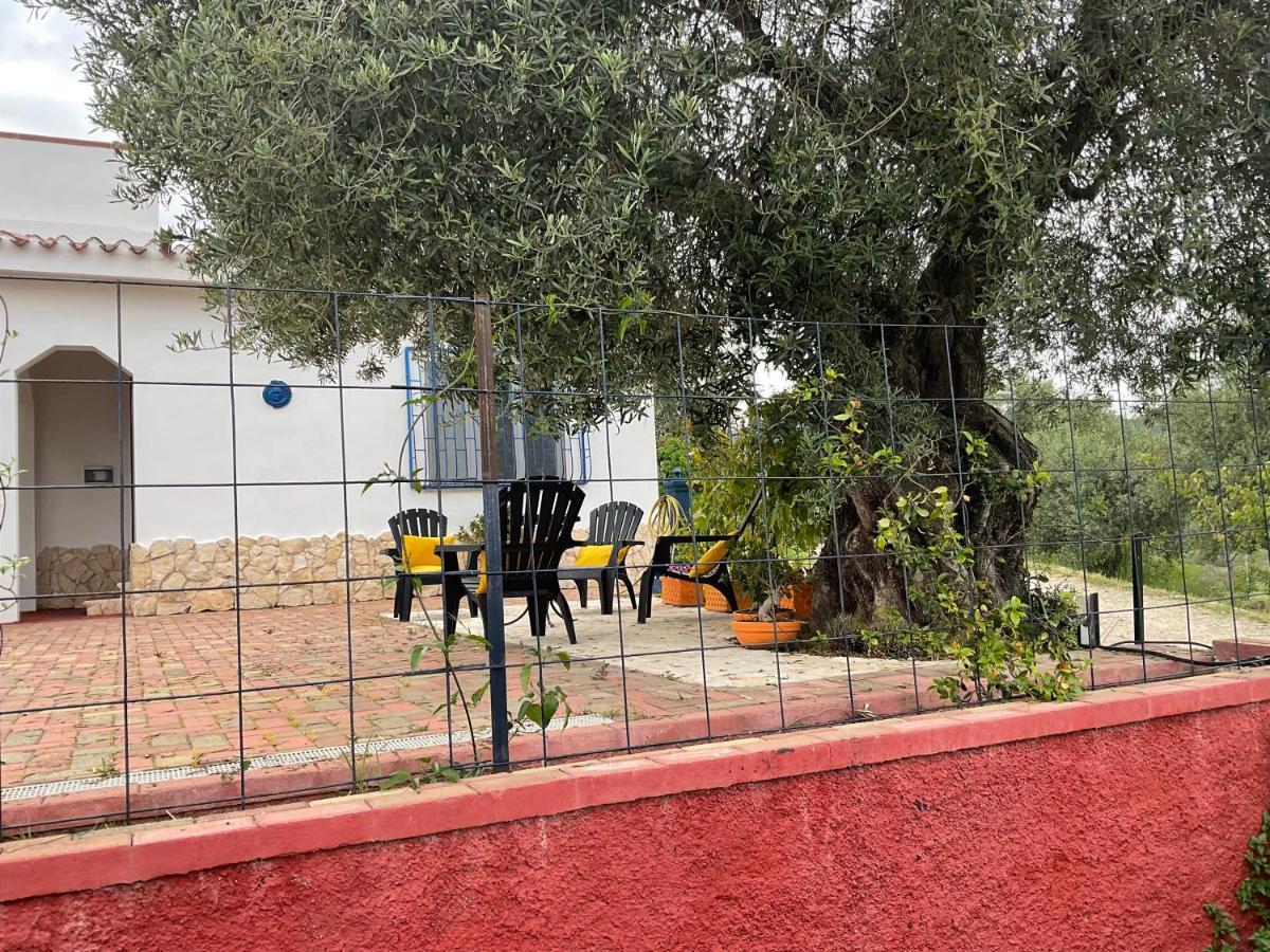 Villa Domo Mea Cardedu Exterior foto